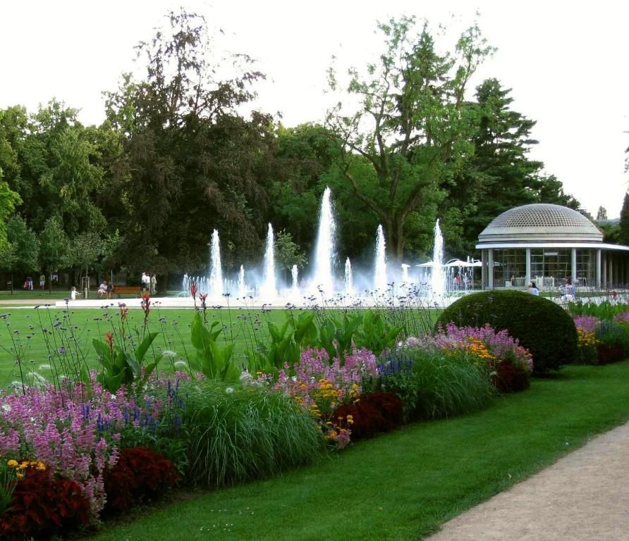 Lazensky Hotel Park ปอดเยบราดิ ห้อง รูปภาพ